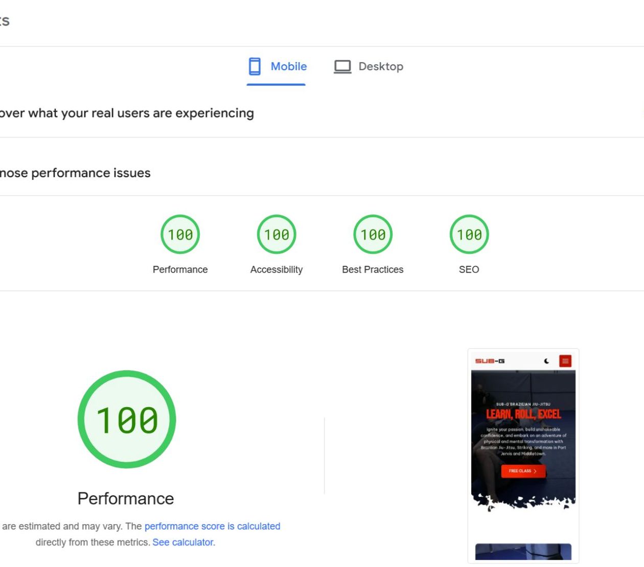 perfect website lighthouse score